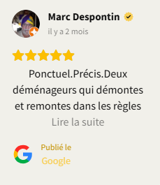 AVIS GOOGLE 1